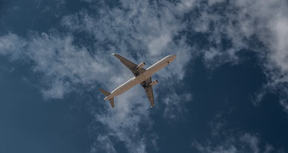 A Complete Guide to Traveling with Pets by Air