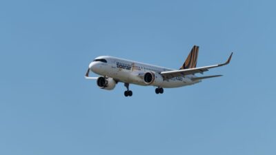 Flying with Fido: Navigating Pet-Friendly Airlines in 2026