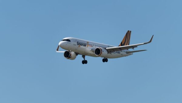Flying with Fido: Navigating Pet-Friendly Airlines in 2026