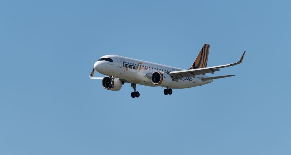 Flying with Fido: Navigating Pet-Friendly Airlines in 2026